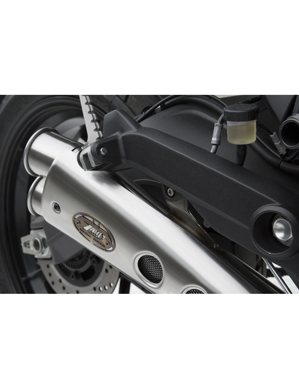 Scarico Ducati Scrambler 800 21-22 Special Edition Silenziatore Inox