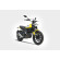 Scarico Ducati Scrambler 800 17-20 Silenziatore Inox Carbonio
