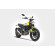 Scarico Ducati Scrambler 800 17-20 Silenziatore Inox