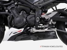 Scarico Triumph Street Triple 765  (23-24) Scarico ZARD