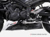 Triumph Street Triple 765 (23-24) Exhaust ZARD Exhaust