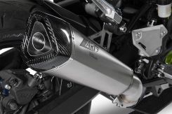 Kawasaki Z900 20-24 Slip-On Exhaust ZARD Titanium