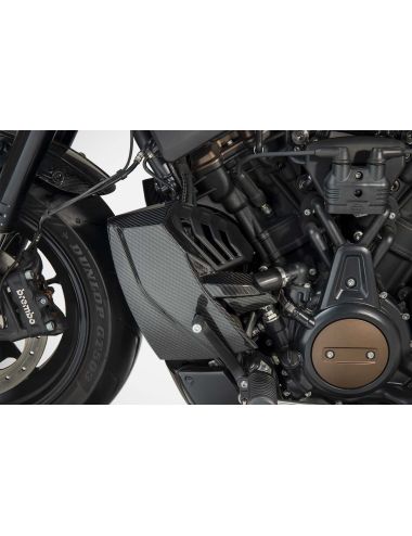 Harley Davidson SPORTSTER S RADIATOR COVER SIDE PANEL 21-23