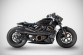 Harley Davidson SPORTSTER S RADIATOR COVER SIDE PANEL (21-26)