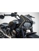 SPORTSTER S Cupolino in Carbonio 120th Limited Edition Harley-Davidson