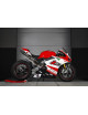 Ducati Panigale Exhaust V4/V4S 18-19 Full Kit DM5 ZARD Racing