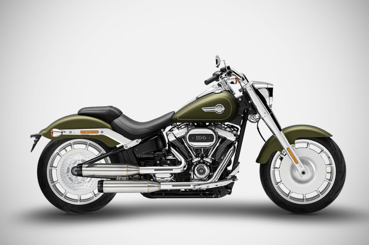 Harley-Davidson Fat Boy 25-26 slip-ons overlapped Zard