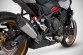 Zard Exhaust Triumph Trident 800 Slip-on titanium 2026