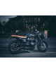 Slip-On per Triumph Street Twin 900 16-20 Silenziatori Laterali